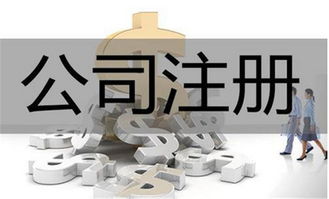 東莞一站式企業(yè)服務 專業(yè)代理工商注冊與品牌視覺塑造