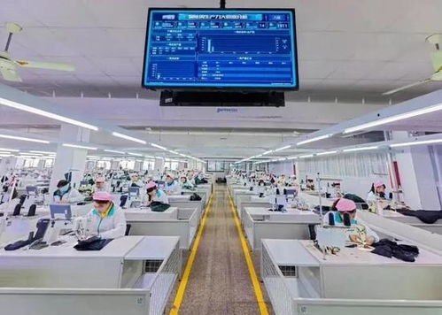 平湖躋身全省“兩化”融合20強(qiáng)，數(shù)字文化創(chuàng)意內(nèi)容應(yīng)用服務(wù)嶄露頭角